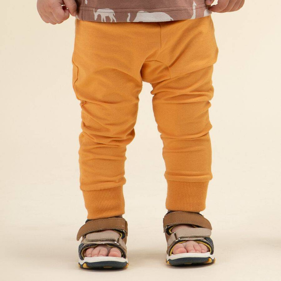 Safari Pinokio Leginsy dziecięce - pomarańczowy