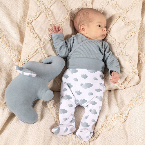 205009 Liam Nicol Półśpioch niemowlęcy