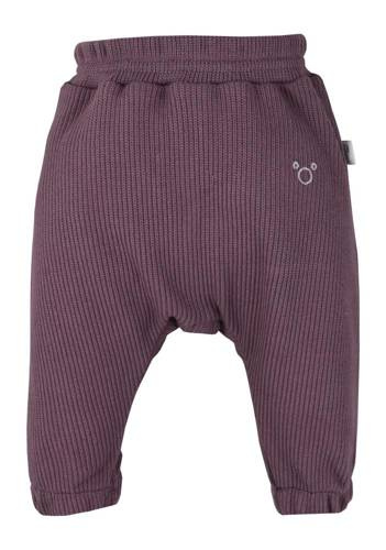 Pure Koala Spodnie bawełniane -śliwka