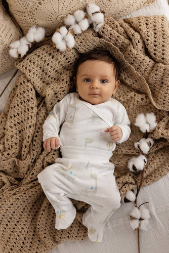 "Rino" Makoma Półśpioch niemowlęcy