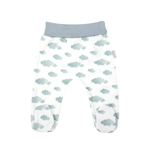 205009 Liam Nicol Półśpioch niemowlęcy