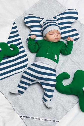 190009 Alex Nicol Półśpioch niemowlęcy