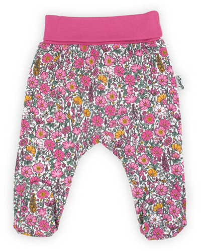 193010 Lea Nicol Półśpioch niemowlęcy