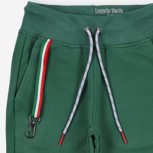 Spodnie dresowe Lagarto Verde - zielony