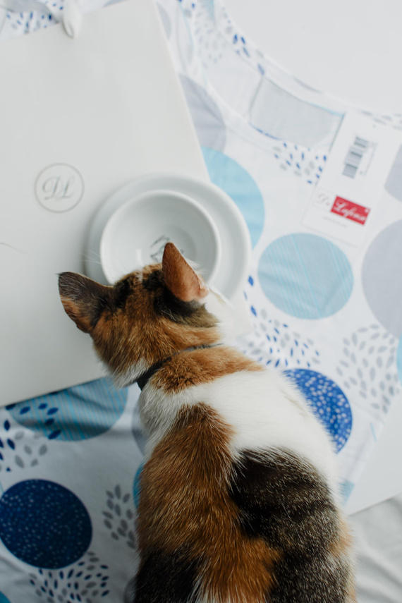 860 Amelia Koszula nocna De Lafense – krótki rękaw, miękka wiskoza - turkus