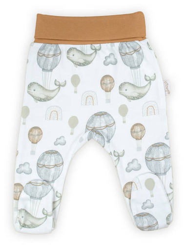 194009 Miki Nicol Półśpioch niemowlęcy