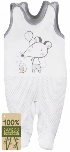 Śpioch bambusowy "MYSZKA I ŚLIMAK" Koala niebieski