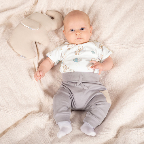 210017 Teddy Nicol Spodnie niemowlęce