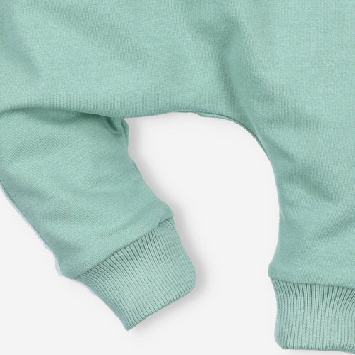 ABN-4517/ZIE Spodnie dresowe kieszonka z bawełny organicznej Nini zielony