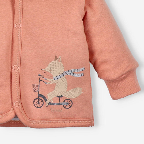 ABN-4718/POM Cute Cars Kurtka niemowlęca z bawełny organicznej Nini pomarańczowy