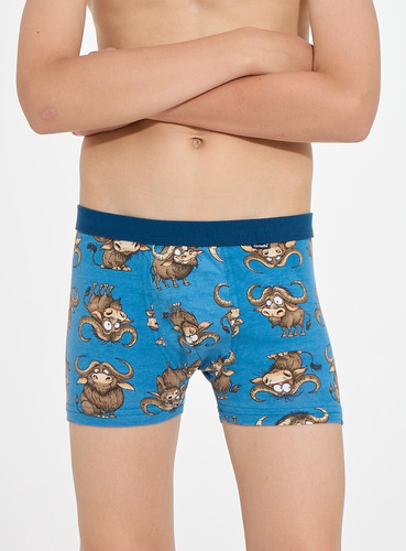 Bokserki chłopięce Cornette Young Boy 700/159 Bulls 2 bawełniane