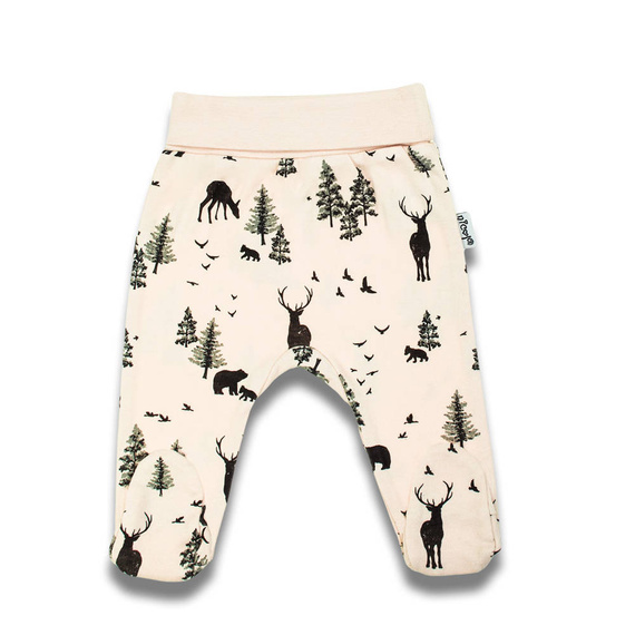 199009 Bambi Nicol Półśpioch niemowlęcy