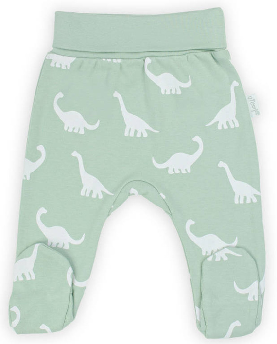 195009 Iwo Nicol Półśpioch niemowlęcy