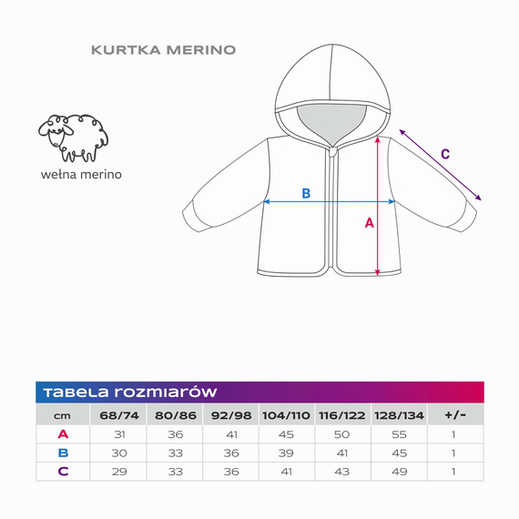 Cars & Bears Eevi Kurtka dla chłopca - szara