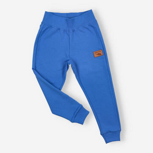 Spodnie dresowe Lagarto Verde - chabrowy