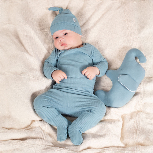 210010 Teddy Nicol Półśpioch niemowlęcy