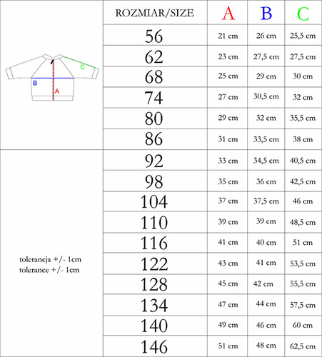 208275 Lizy Nicol Bluza dresowa