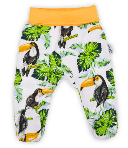 186009 Tukan Nicol Półśpioch niemowlęcy