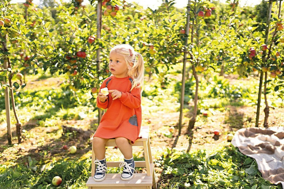 Adventure Ewa Klucze Tunika dresowa - rudy