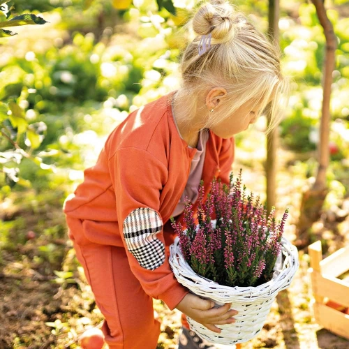 Adventure Ewa Klucze Bluza rozpinana - rudy