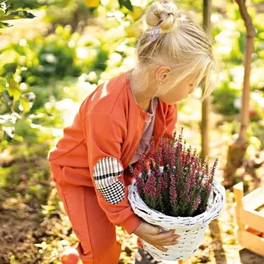 Adventure Ewa Klucze Bluza rozpinana - rudy