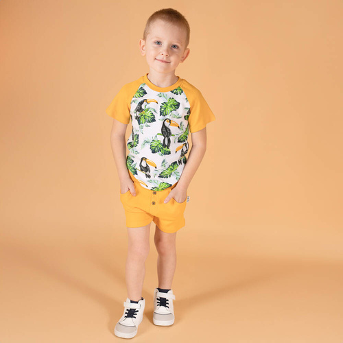 Spodenki krótkie 186187 "Tukan" Nicol