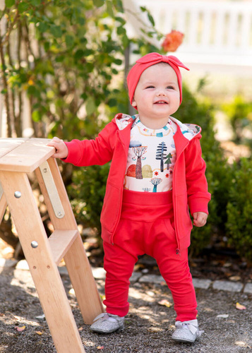 ABN-4054/KOR Kolorowy Las Bluza dresowa z kapturem z bawełny organicznej Nini malinowy