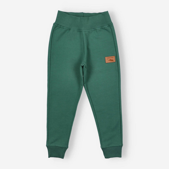 Spodnie dresowe Lagarto Verde - zielony