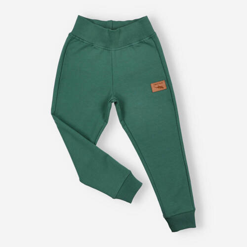 Spodnie dresowe Lagarto Verde -  zielony