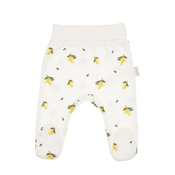 212009 Tola Nicol Półśpioch niemowlęcy