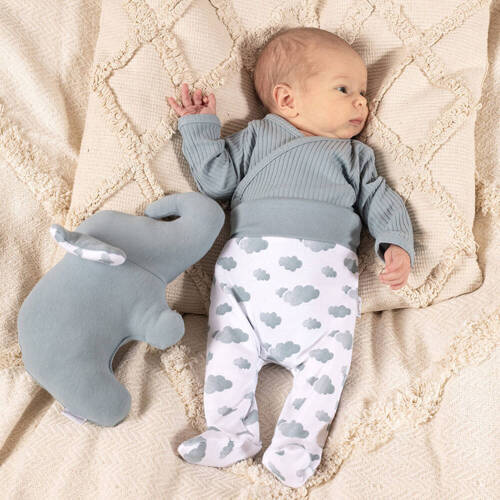 205009 Liam Nicol Półśpioch niemowlęcy