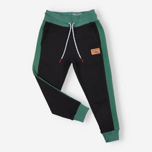 Spodnie dresowe Lagarto Verde - czarny