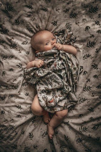 Pieluszki 100% Bamboo muślin Ornithology Makaszka