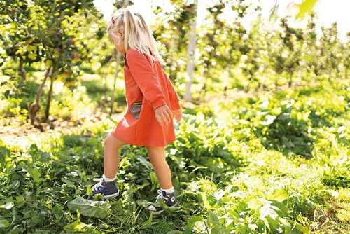 Adventure Ewa Klucze Tunika dresowa - rudy