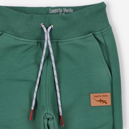 Spodnie dresowe Lagarto Verde - zielony