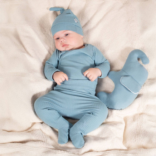 210010 Teddy Nicol Półśpioch niemowlęcy