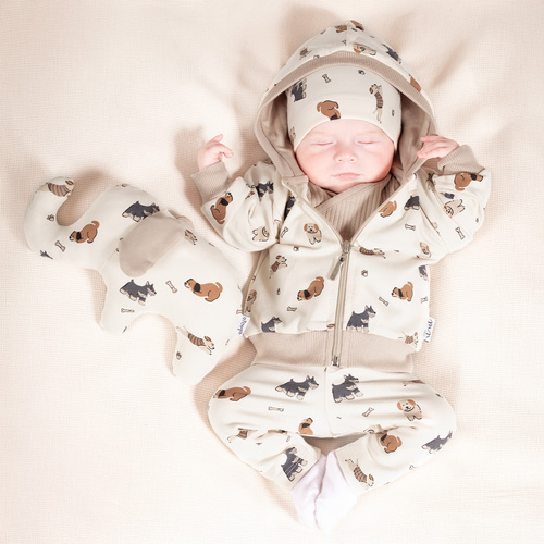 Spodnie dresowe 215278 Eddy Nicol