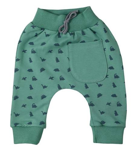 Dinozaur Koala Spodnie bawełniane - zielony