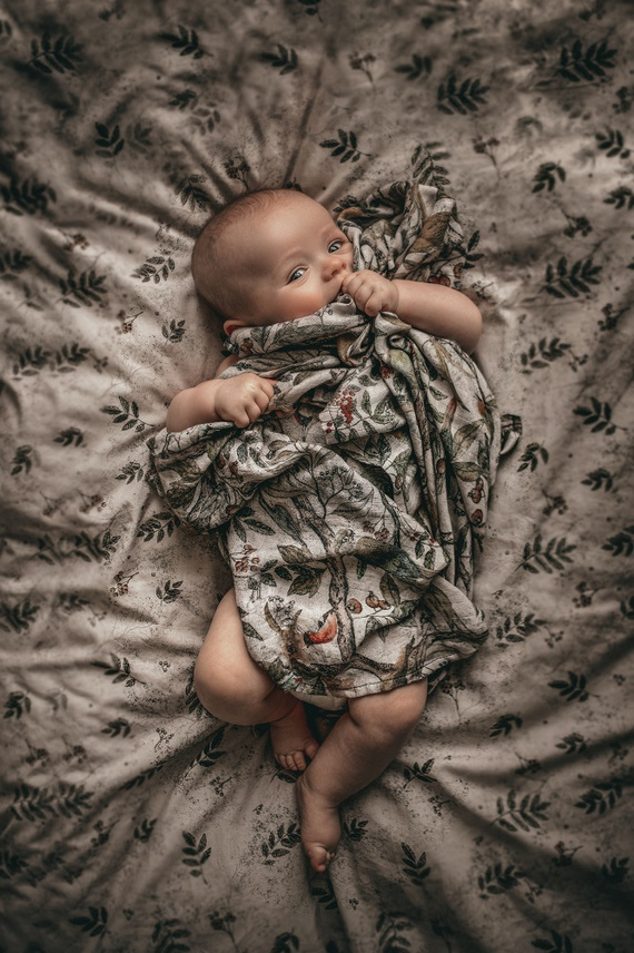 Pieluszki 100% Bamboo muślin Ornithology Makaszka