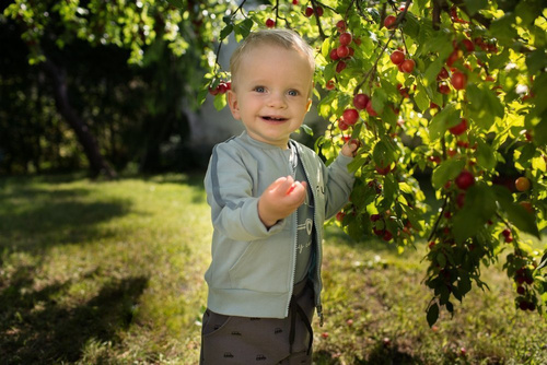 Bluza zapinana na zamek "Little Car" Pinokio - mięta