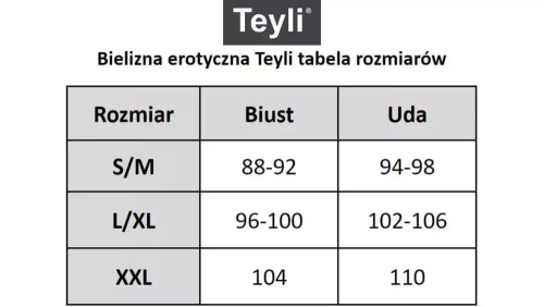2126 Herty Koszula Nocna Siateczkowa Teyli - czarny