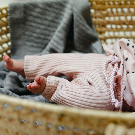 Dogs & Spots Eevi Legginsy bawełniane