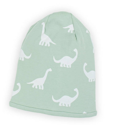 Czapka dziecięca 195055 Iwo Nicol