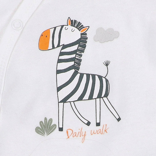 ABN-5322/ECR Zebra Body kopertowe z bawełny organicznej Nini ecru