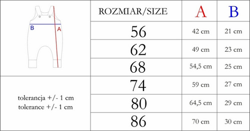 210024 Teddy Nicol Spodnie ogrodniczki