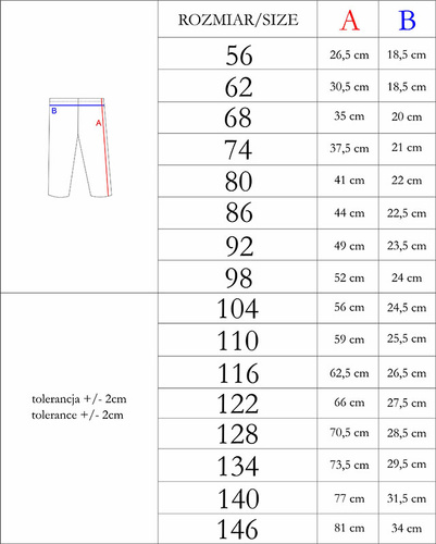 Legginsy 208201 Lizy Nicol