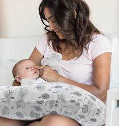 Moon Cushion Owl Eurobaby Poduszka do karmienia 