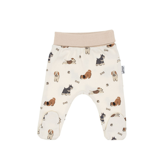 215009 Eddy Nicol Półśpioch niemowlęcy