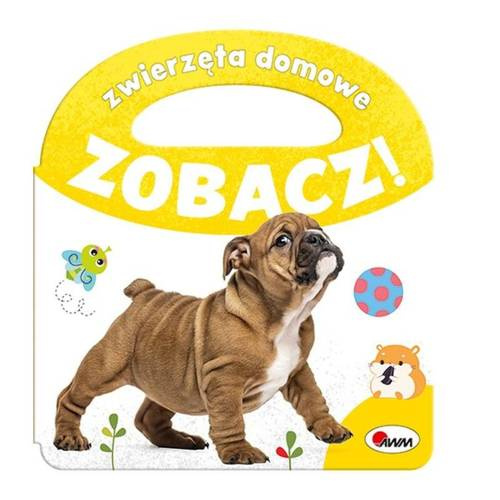MO260-3 "Zobacz zwierzęta domowe" Książka Awm Wydawnictwo