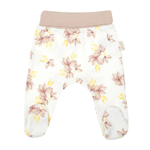 203009 Lou Nicol Półśpioch niemowlęcy